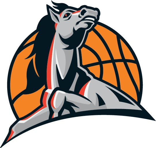 Idaho Stampede 2006-2012 Secondary Logo iron on transfers for clothing